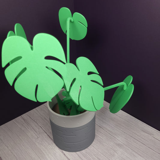 Monstera Plant Magnetic Coaster