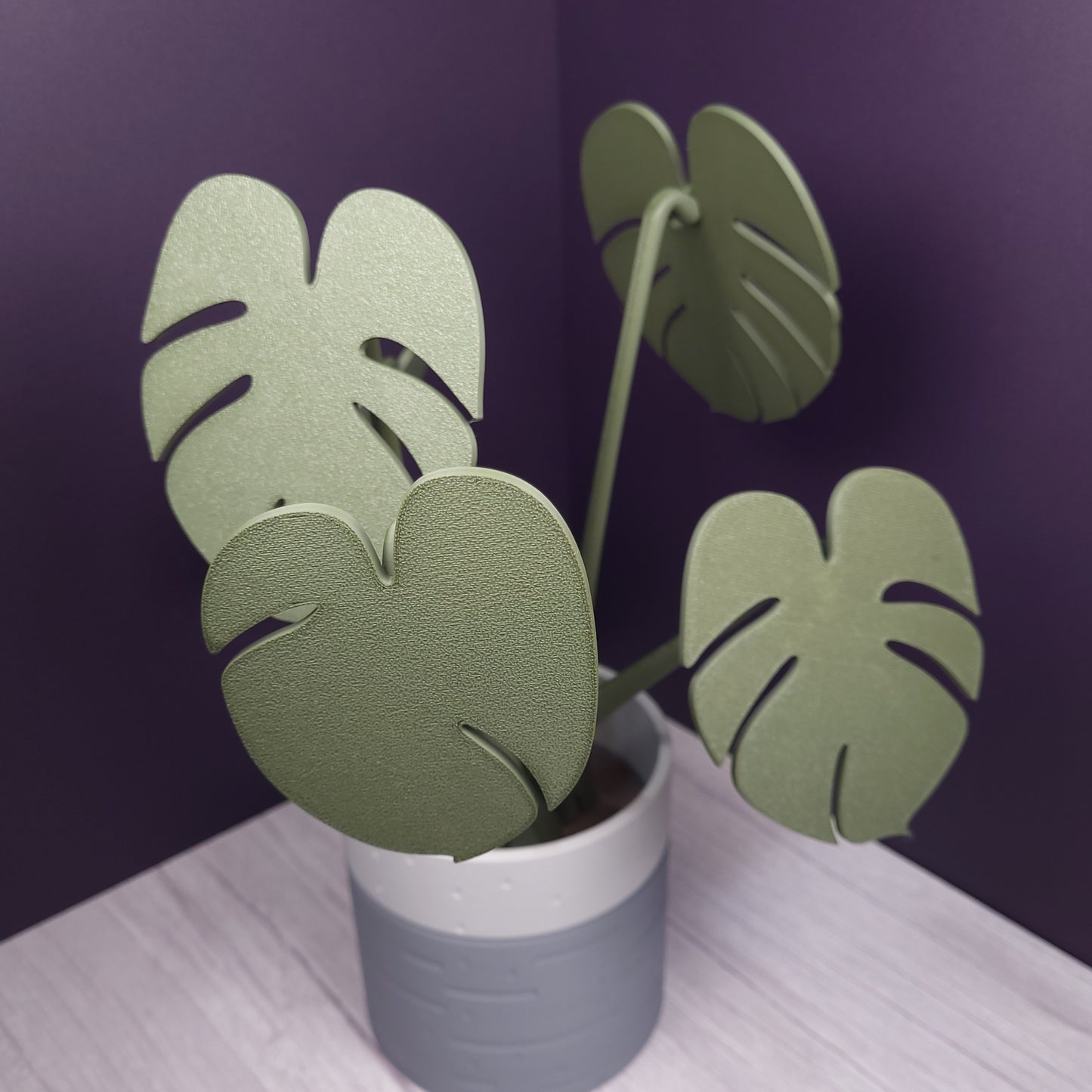 Monstera Plant Magnetic Coaster